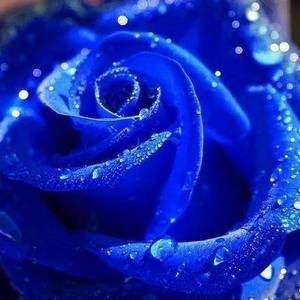 Meet your Posher, Maria eugenia